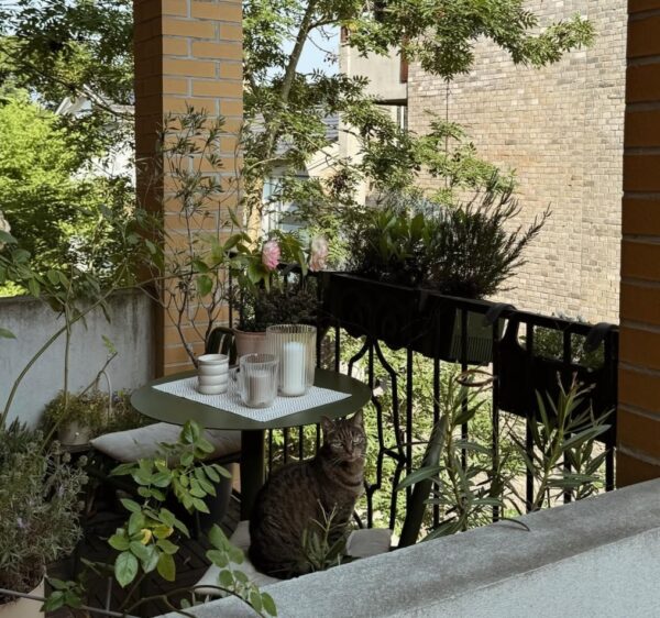 Oaza, Marie Claire Hrvatska