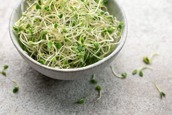 klice prehrana marie claire hrvatska