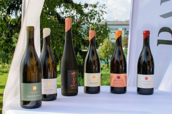 Yoga&Wine, Marie Claire Hrvatska