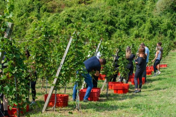 Yoga&Wine_MarieClaire Hrvatska