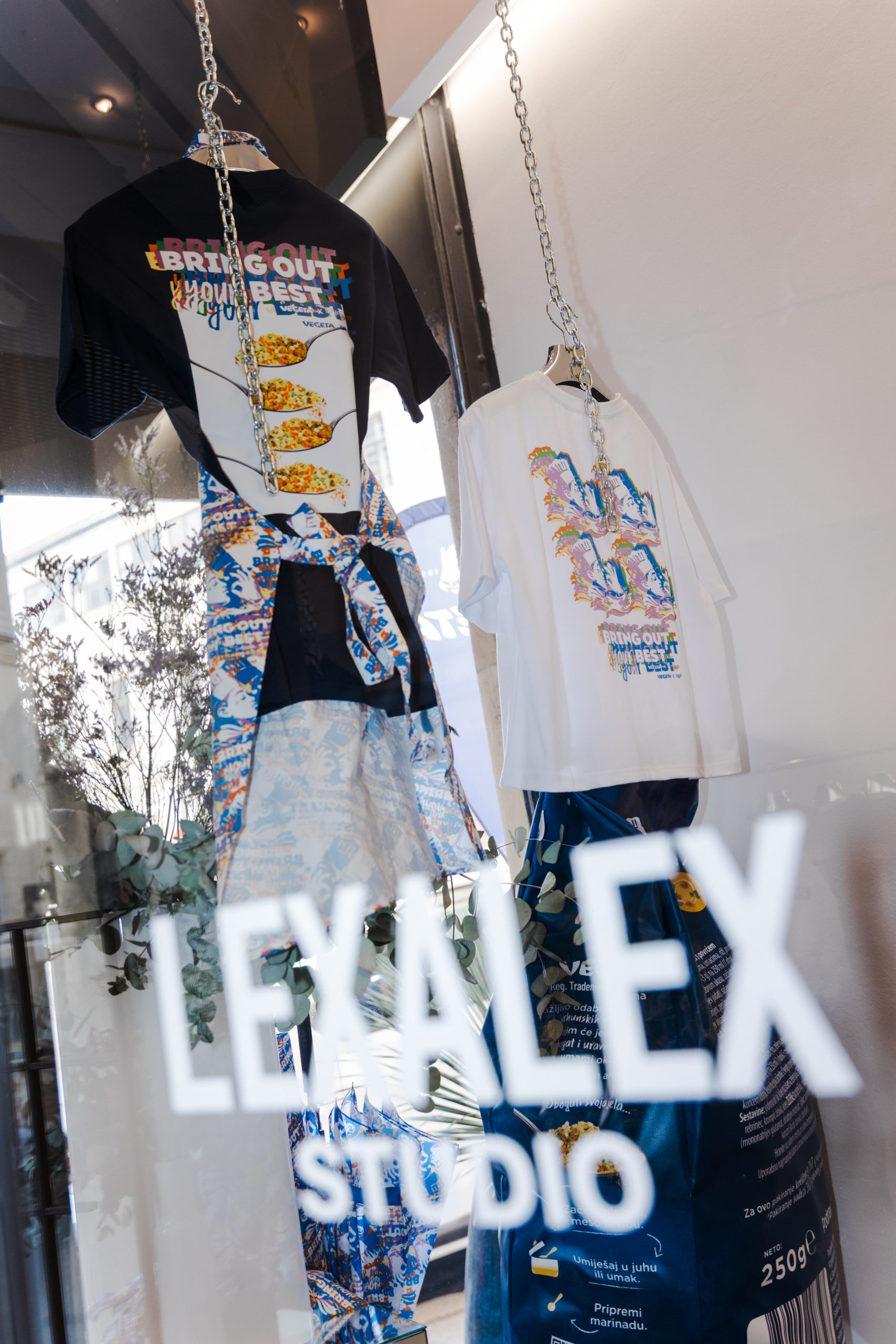 Vegeta x LEXALEX