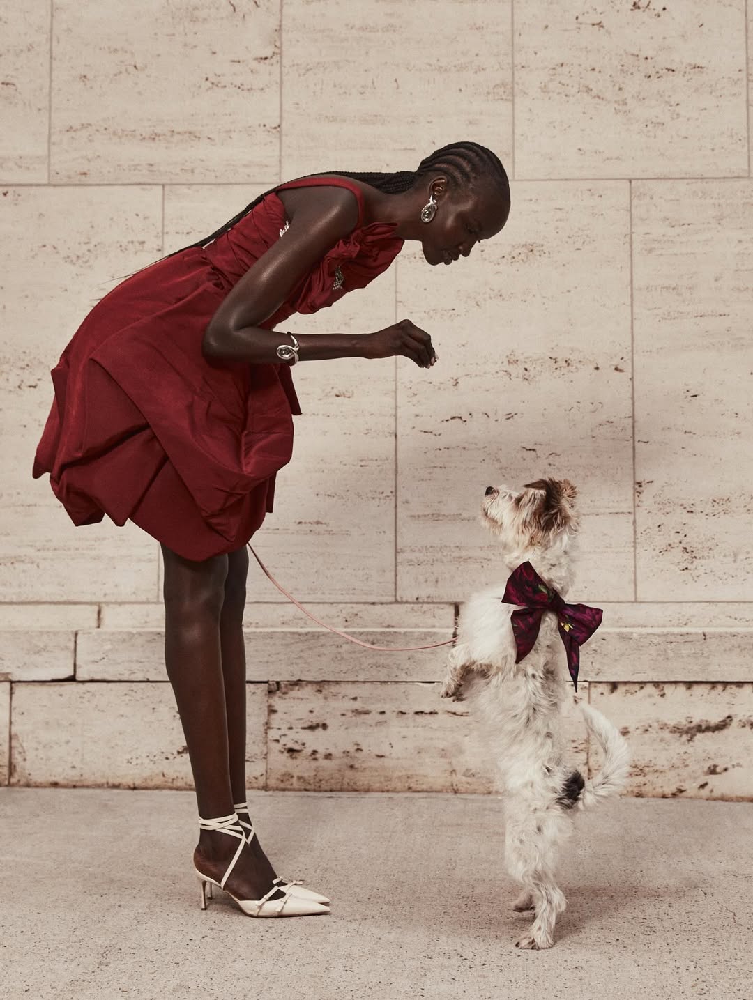 Oscar de La Renta mašne za pse marie claire hrvatska