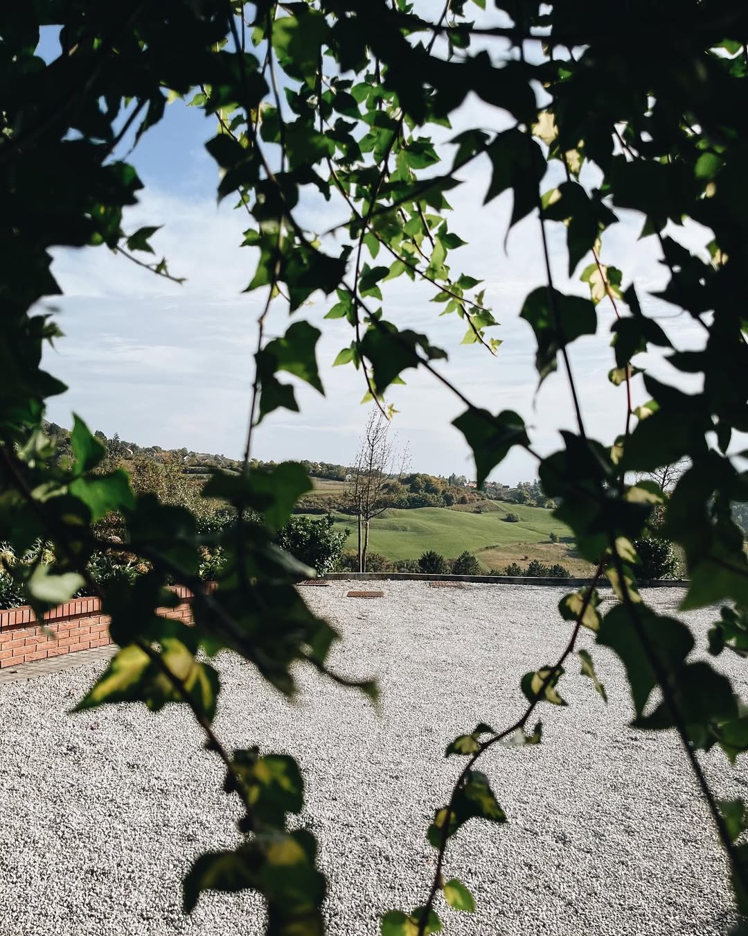 najljepše vinarije u Hrvatskoj