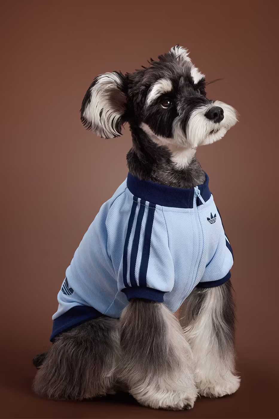 adidas kolekcija za ljubimce marie claire hrvatska
