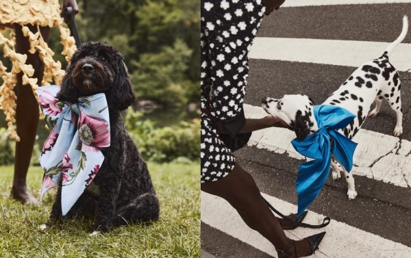 luksuzna kolekcija za pse, Marie Claire Hrvatska