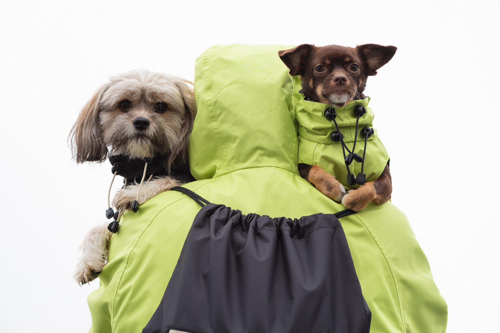 Ana Maria Ricov, osnivačica i dizajnerica brenda Shibesu, predstavlja novu kolekciju koja donosi savršen spoj urbanog stila