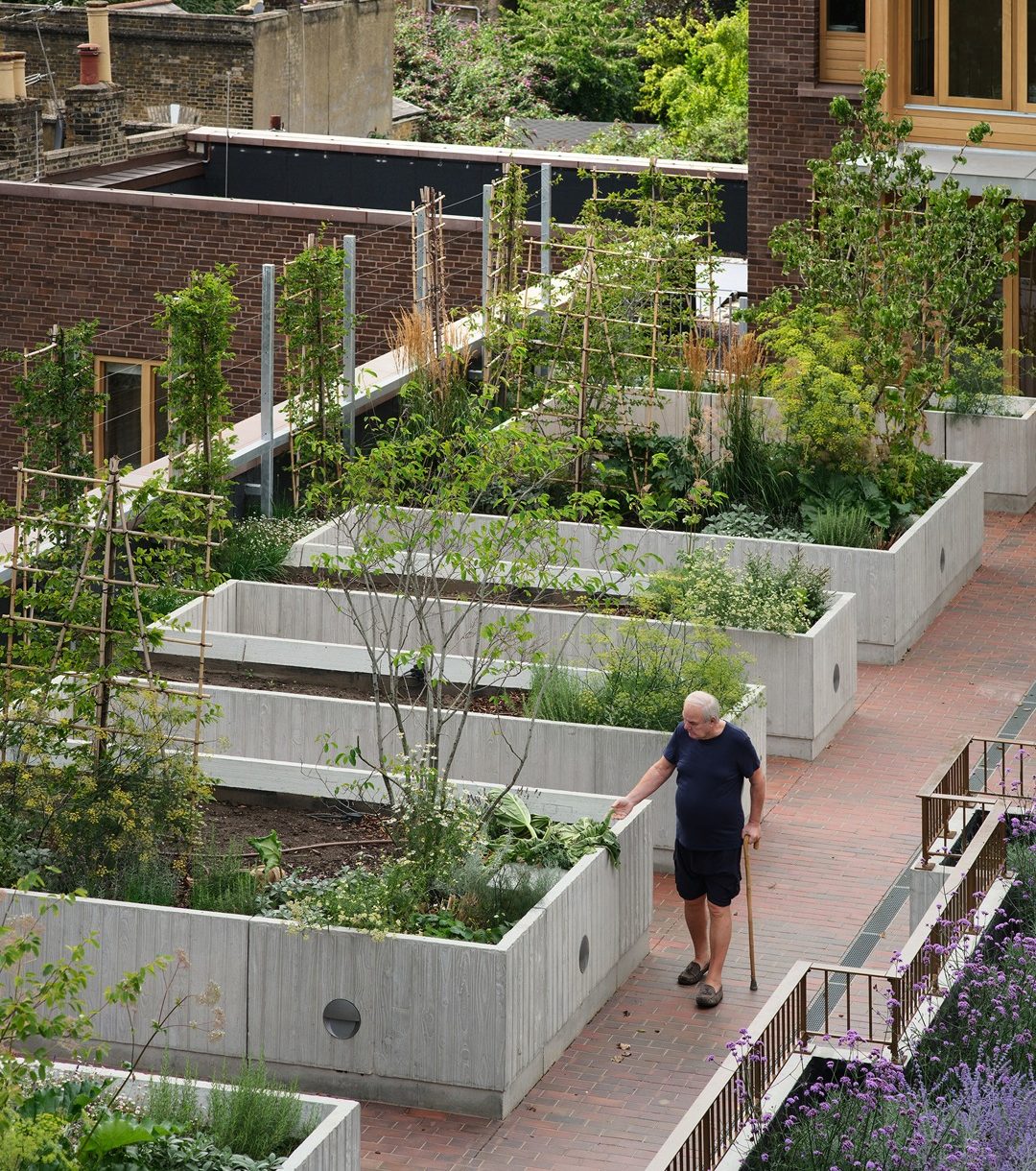 Kako arhitektura može izliječiti usamljenost