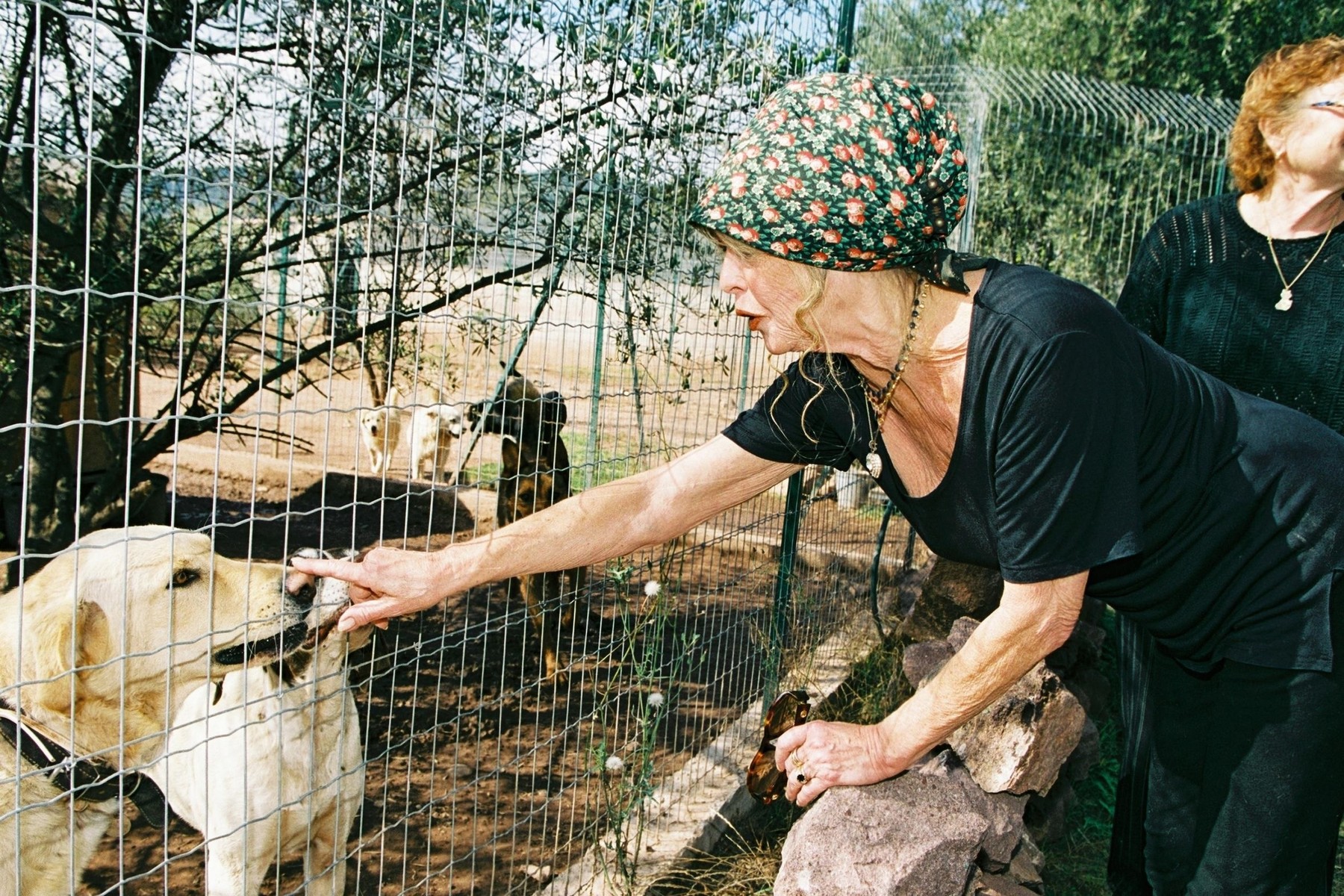 Brigitte Bardot marie claire hrvatska