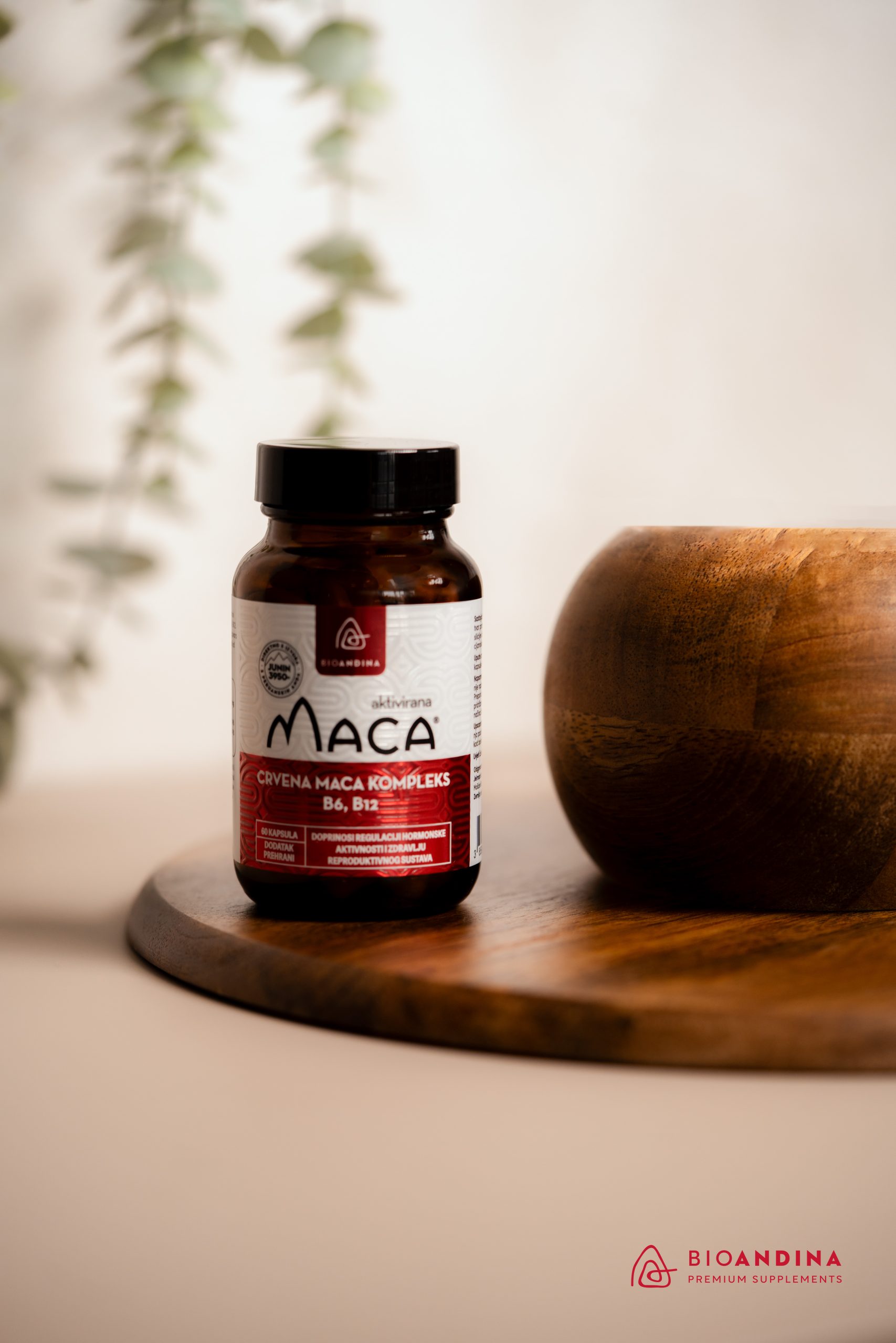 MC CHRISTMAS IDOLS crvena maca kompleks