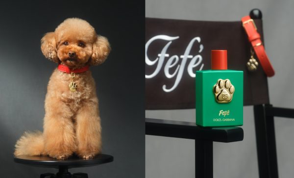 parfem za pse, Marie Claire Hrvatska