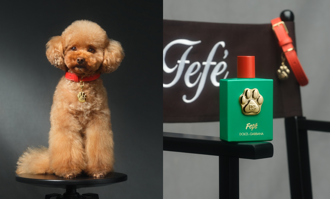 parfem za pse, Marie Claire Hrvatska