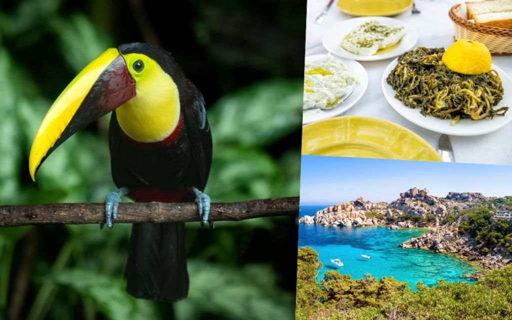 prehrana iz plavih zona marie claire hrvatska