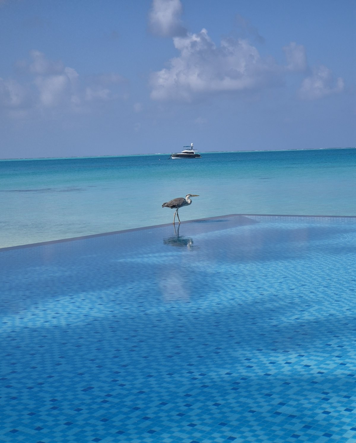 Sirru Fen Fushi Resort