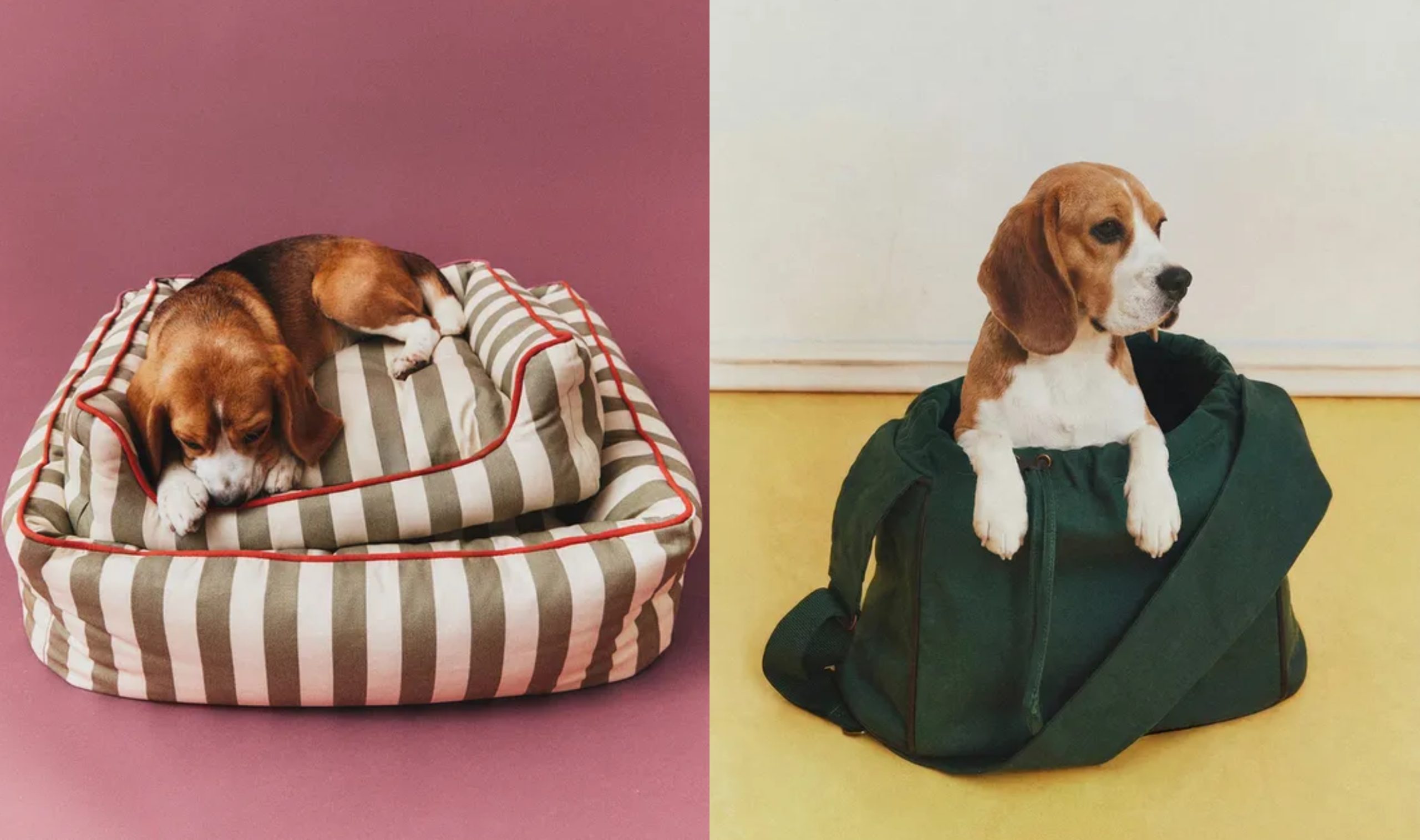 zara kolekcija za pse, Marie Claire Hrvatska